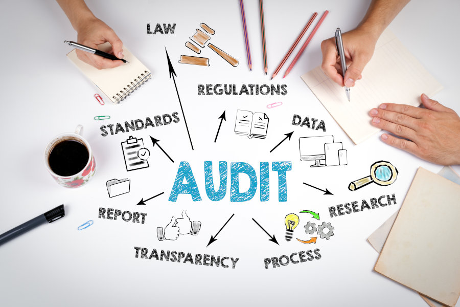 Audit services